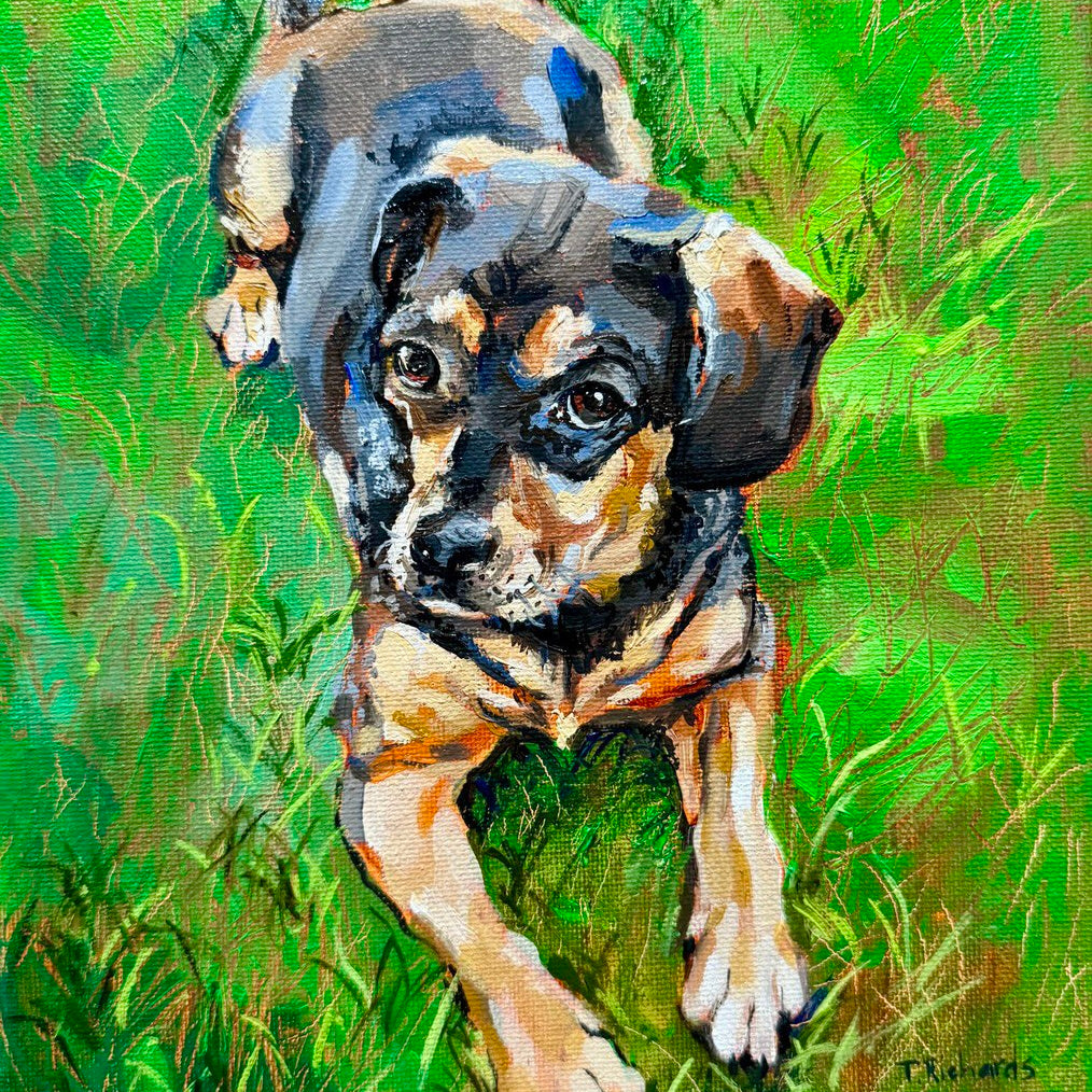 Custom Pet Portrait from Photo – Original Hand-Painted Oil Painting of Your Dog, Cat, or Other Pet