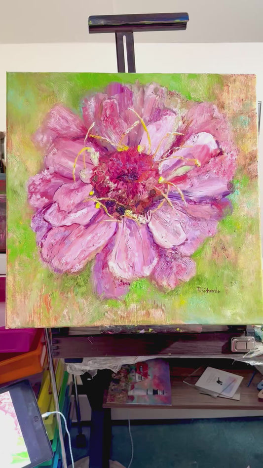 Pink Zinnia Oil Painting 20x20", Original Art Floral Wall Art, Large Flower Botanical Artwork